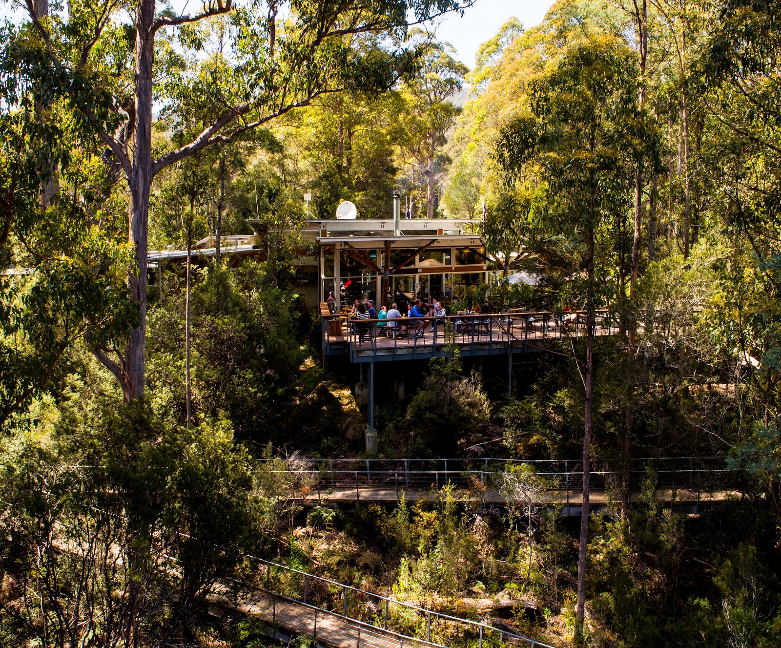 Tahune Adventures Tasmania 2