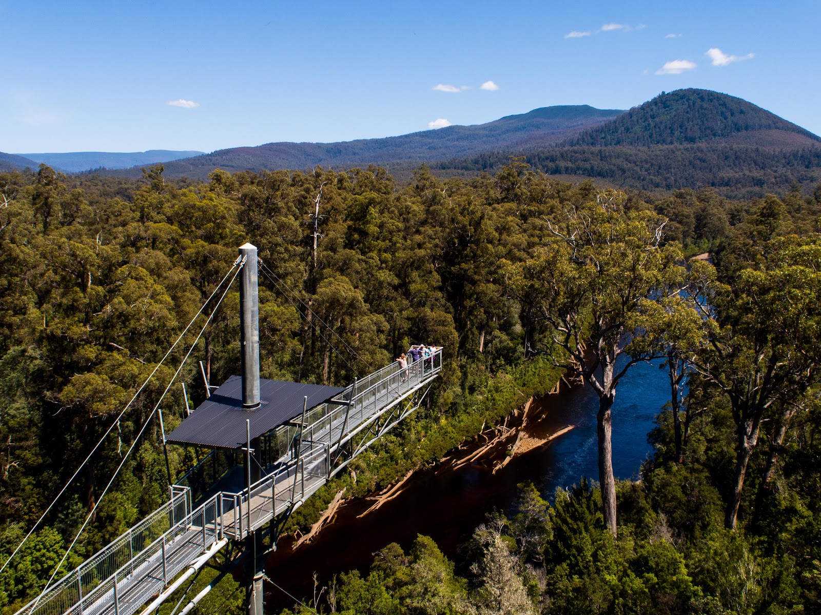 Tahune Adventures Tasmania 3