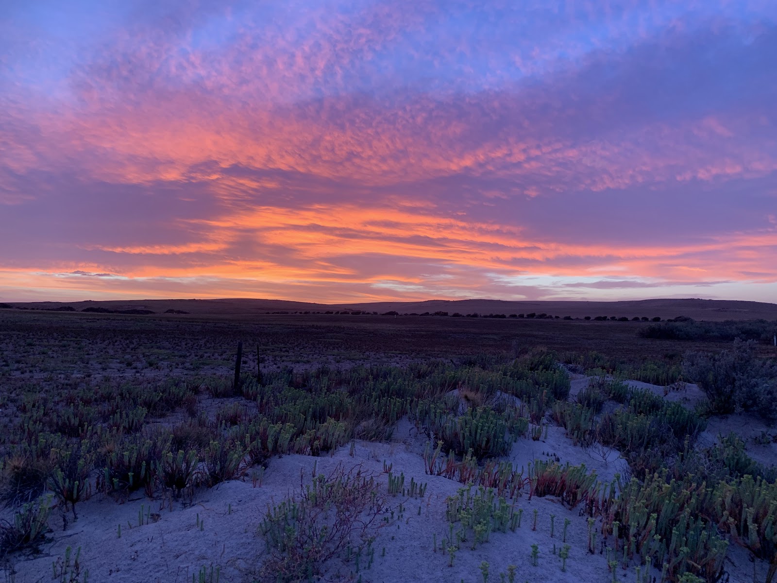 Cowleys Beach 2
