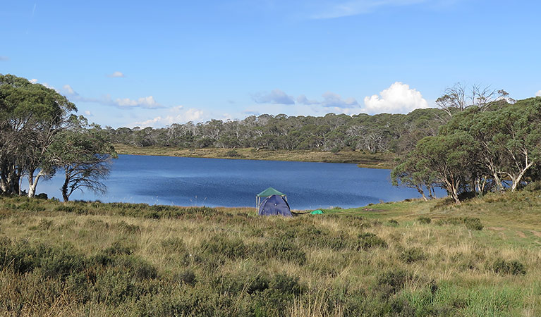 Three Mile Dam Campground 2
