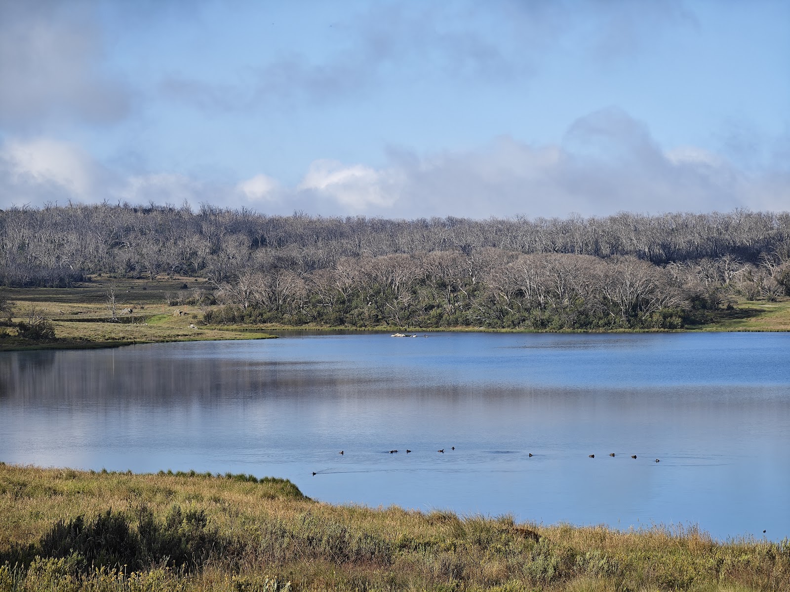 Three Mile Dam Campground 3