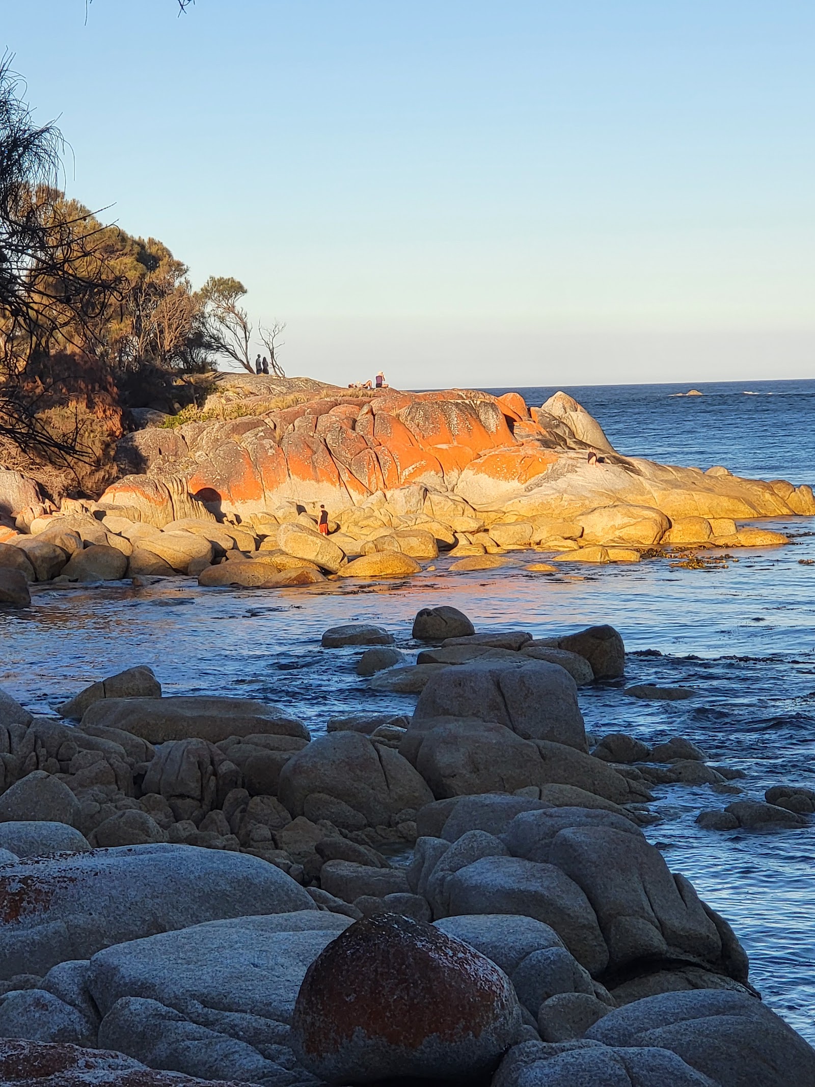 Seatons Cove 2