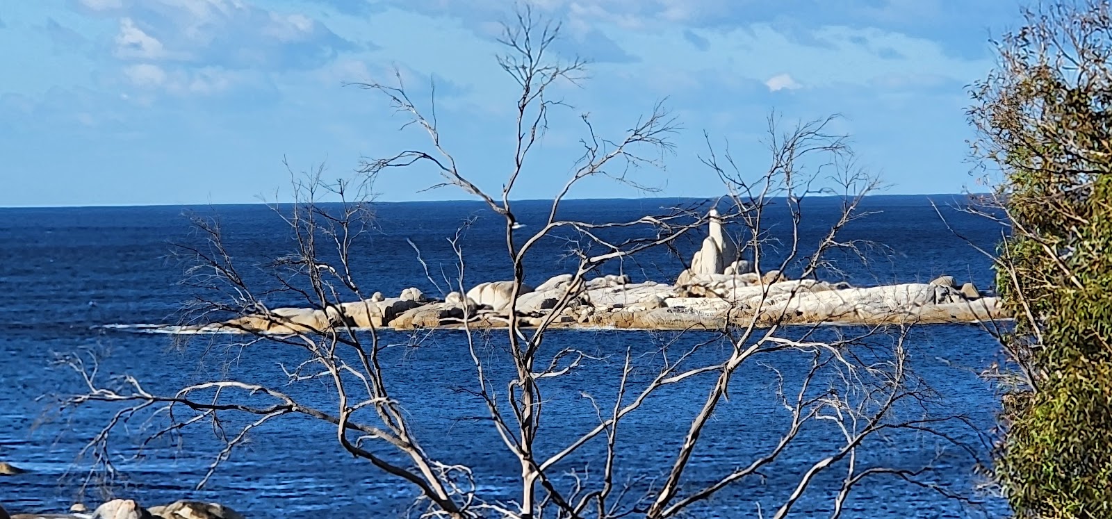 Seatons Cove 3