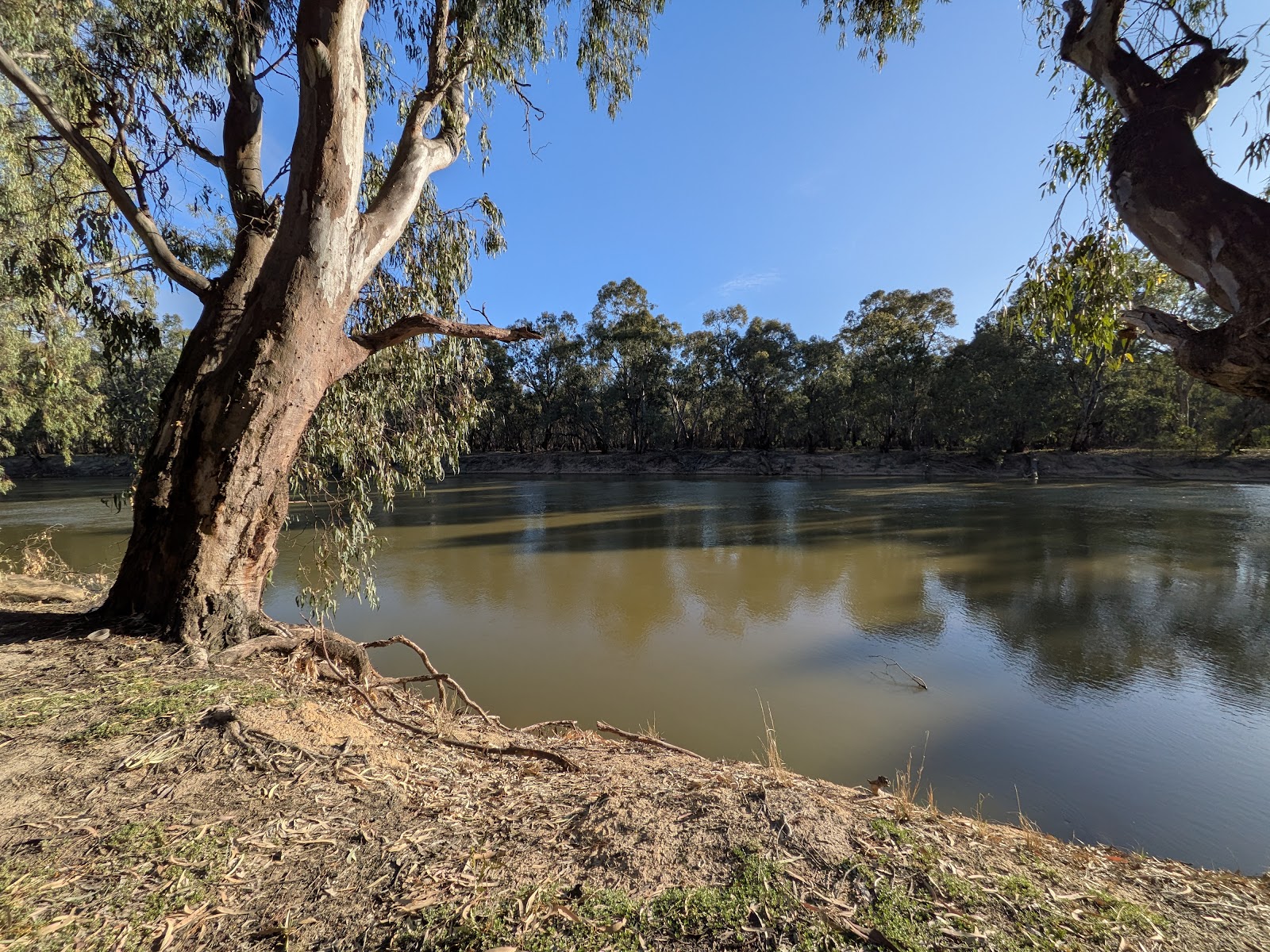 Nyah Vinifera Park 5