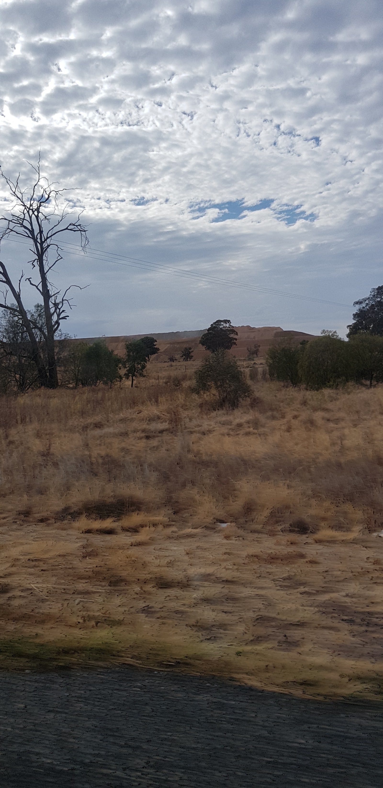 South Tomingley Rest Area 2