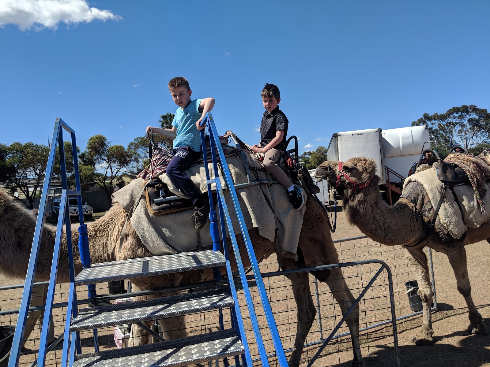 Murray Bridge Show Grounds 2