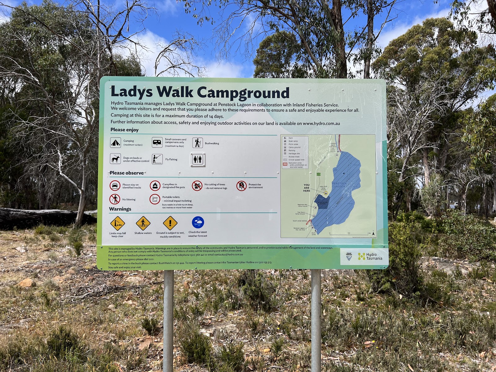 Lady's walk 3