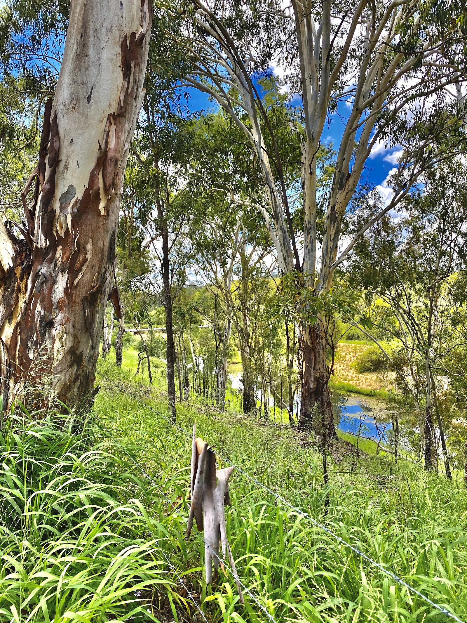 Tolderodden Conservation Park Rest Area 2