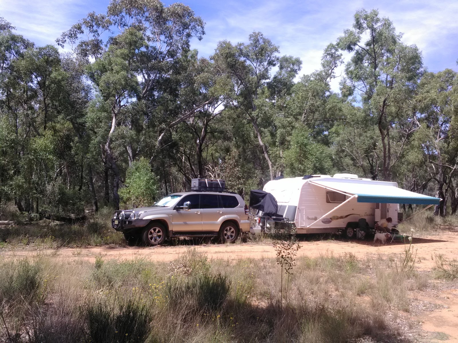 Pilliga Rest Area 2