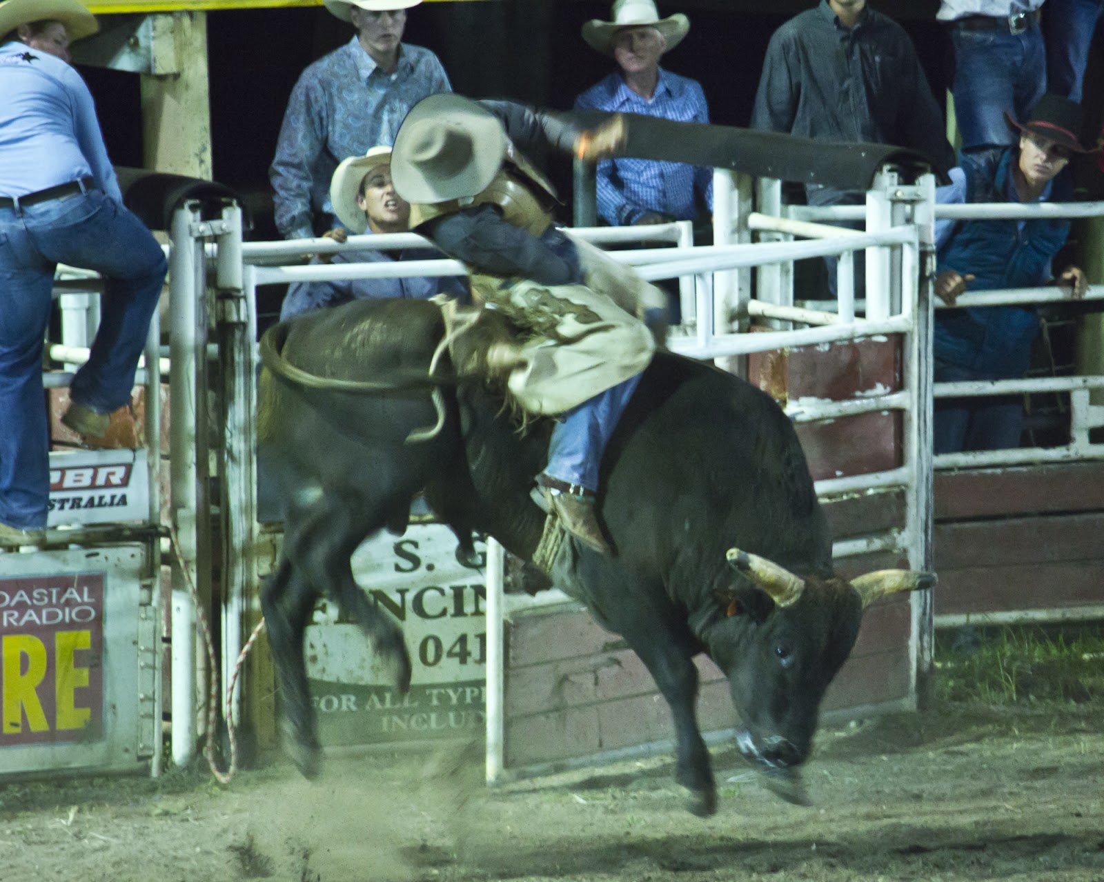 Wingham Showground, Rouse St 6