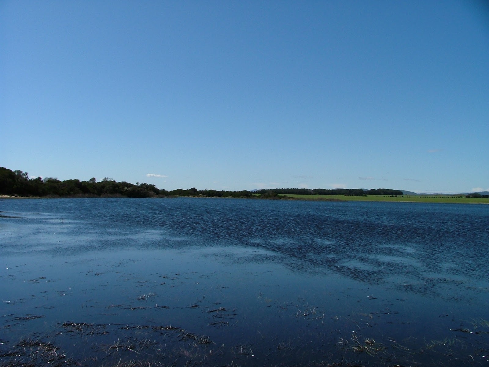 Blackmans Lagoon Camping Area - Waterhouse Cons Area 5