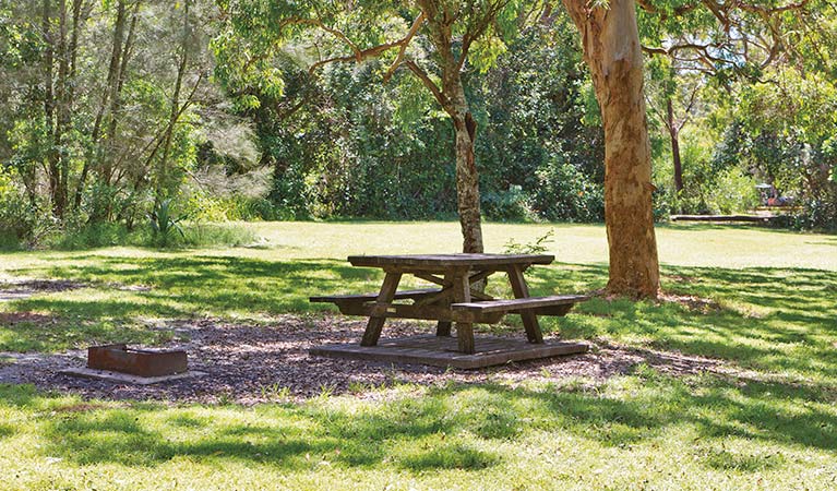 Station Creek Campground 2