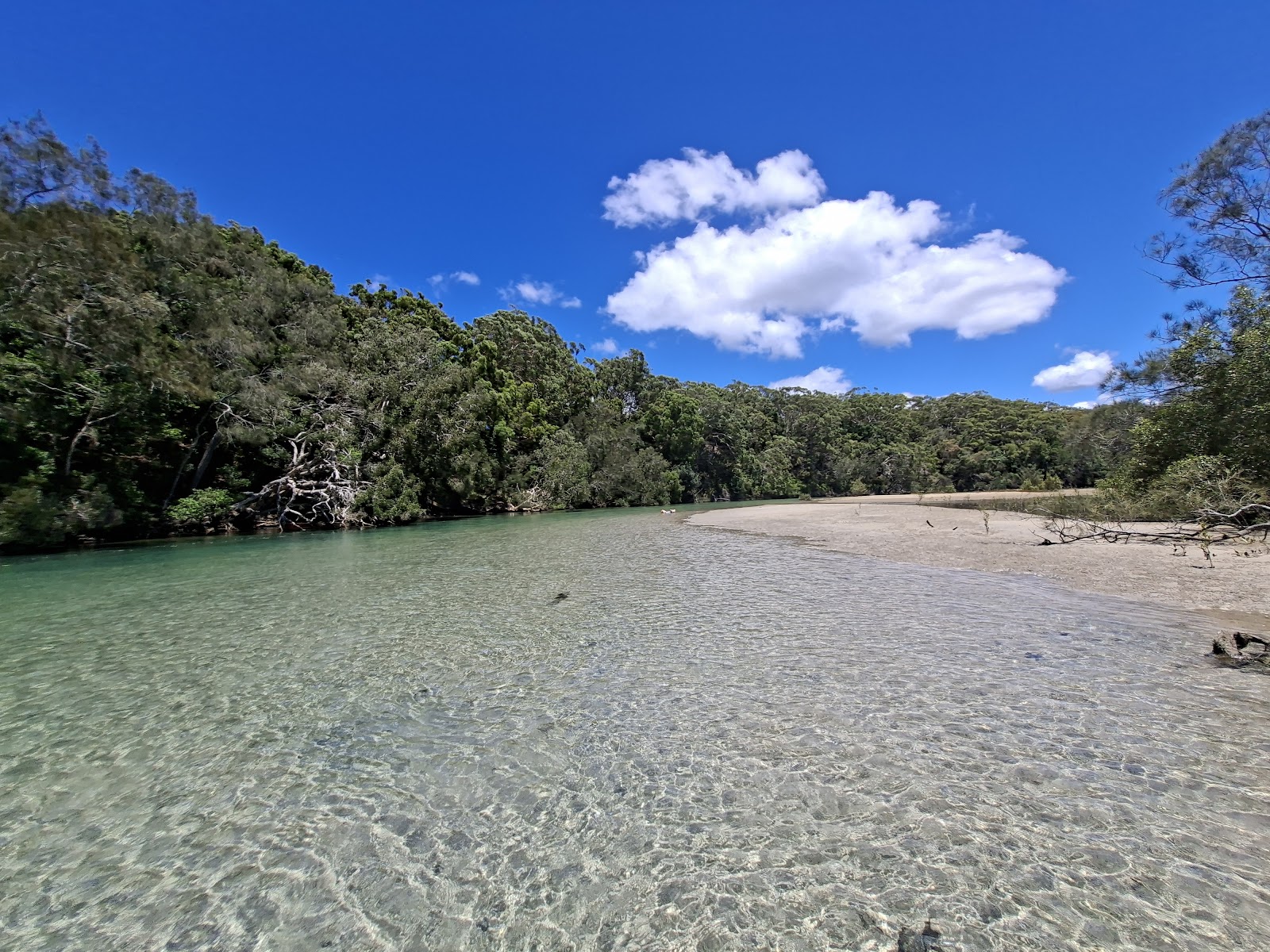 Station Creek Campground 3