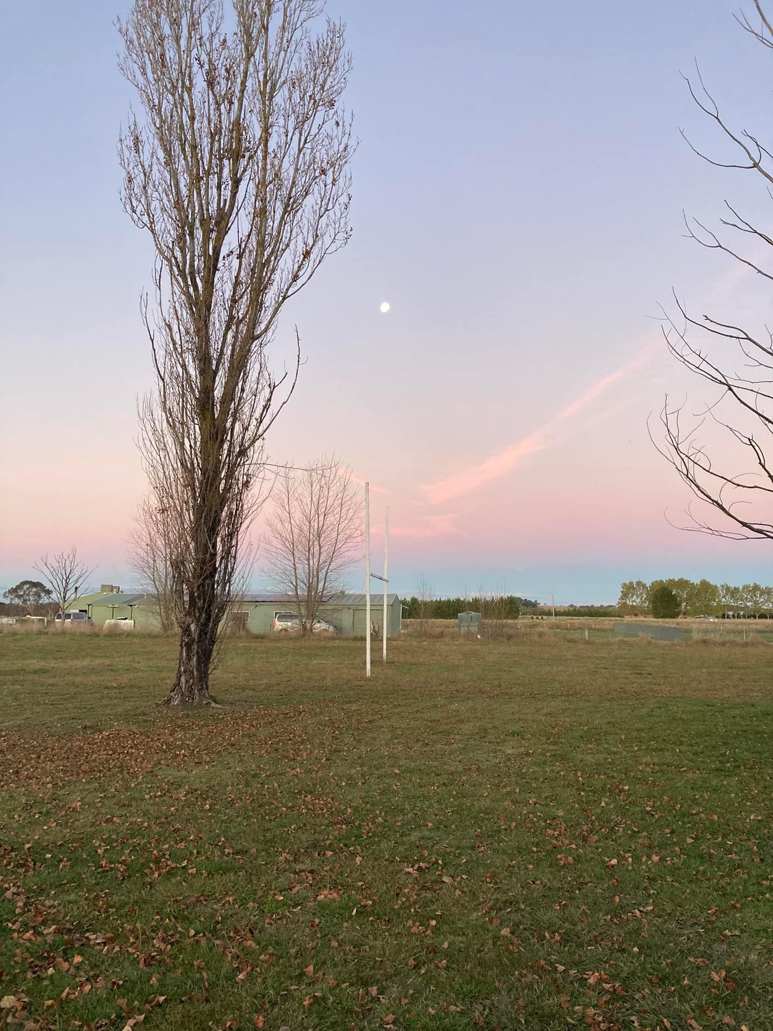 Spring Hill Recreation Ground 3