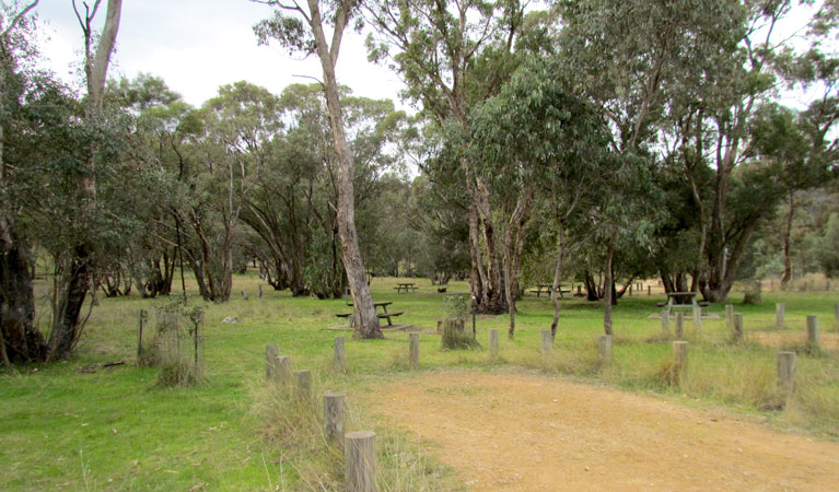 Ben Halls Campground 3