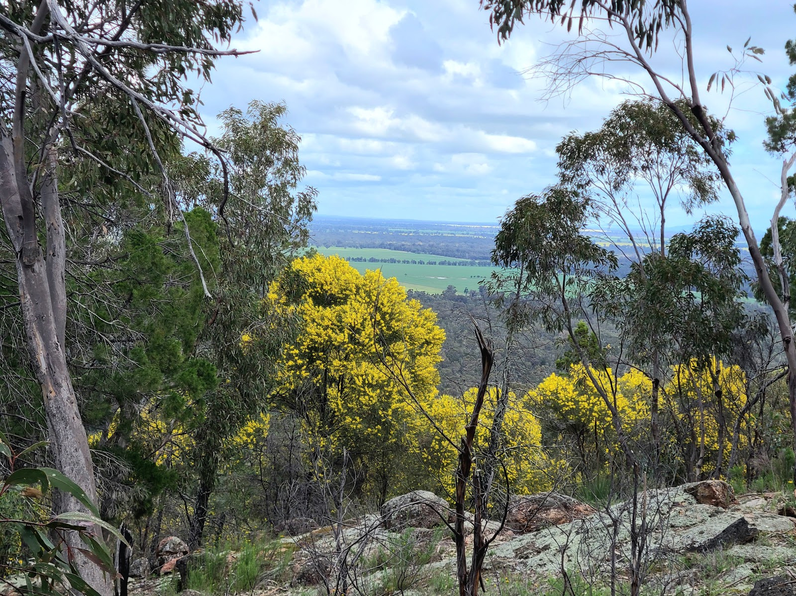 Ben Halls Campground 6