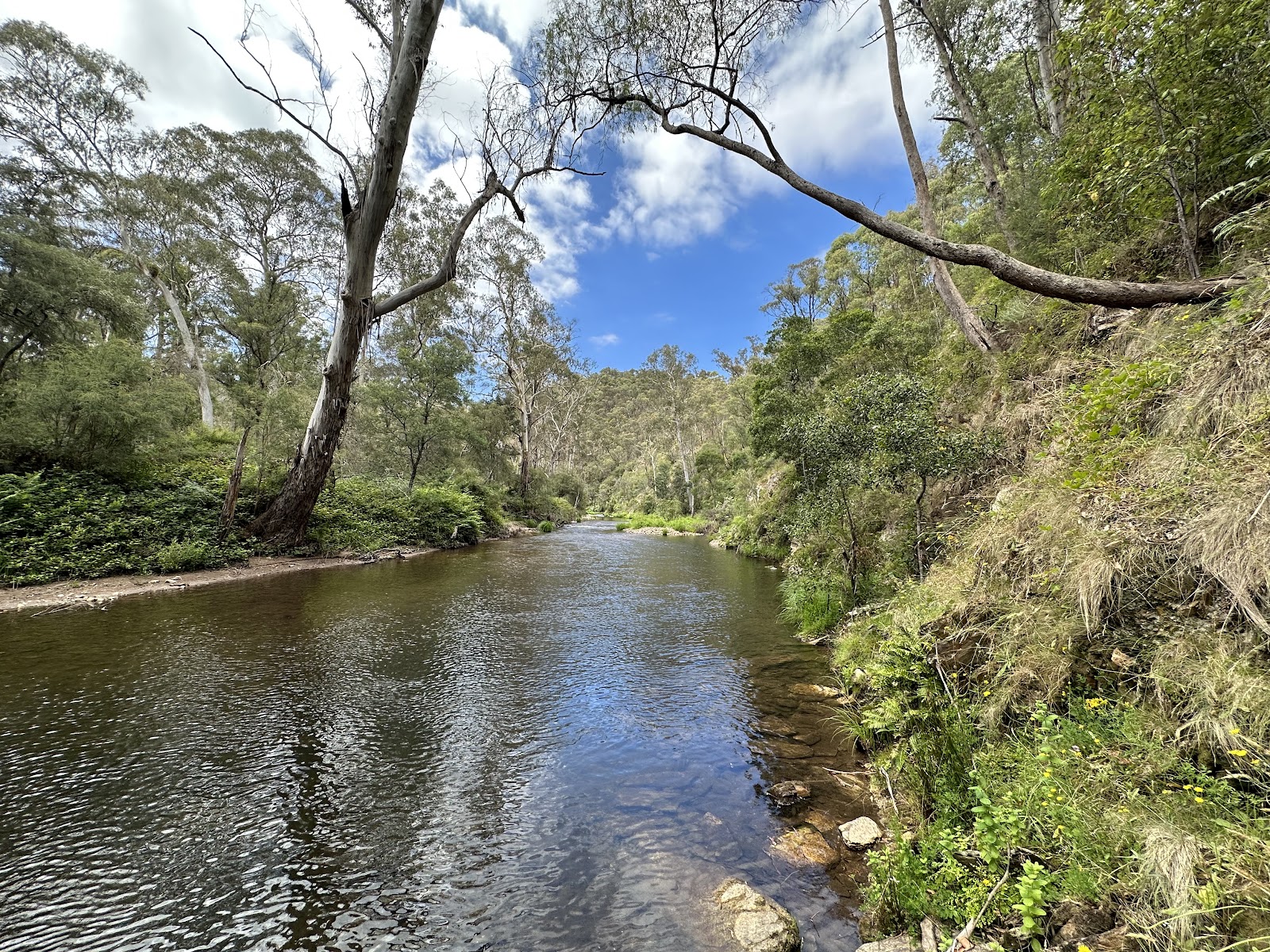 Running Creek Camping Reserve 8