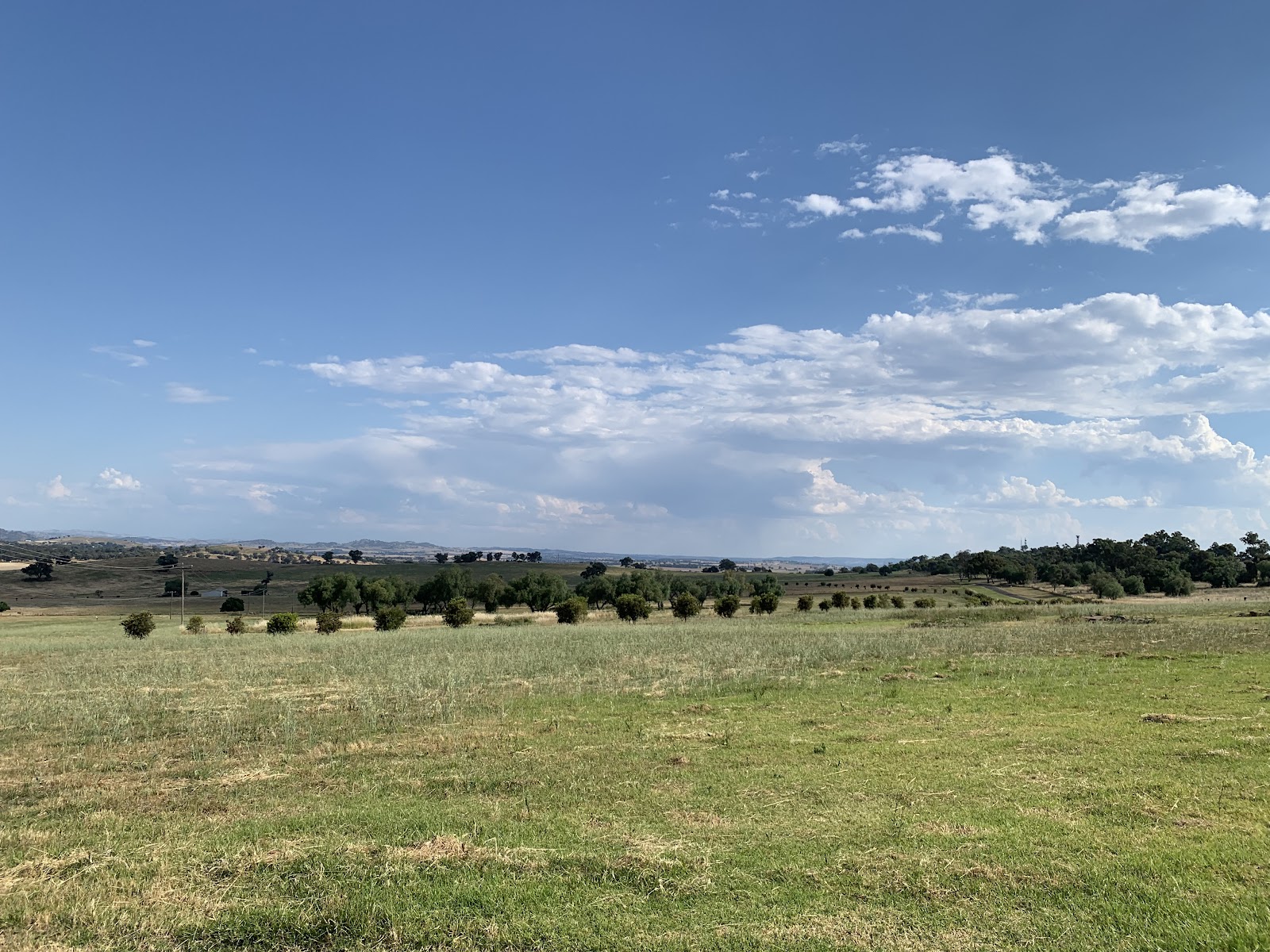 Cowra POW Campsite 2