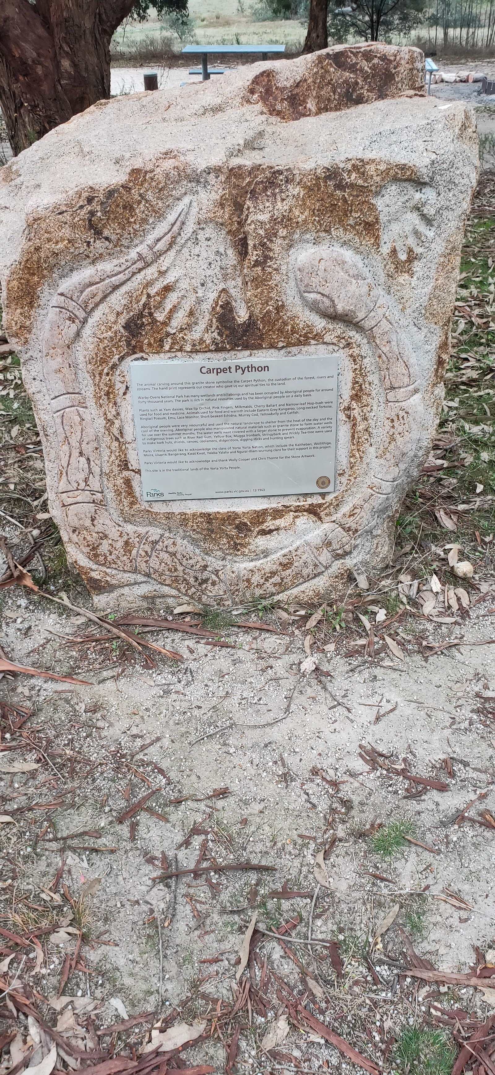Wenhams Camp @ Warby-Ovens National Park 9