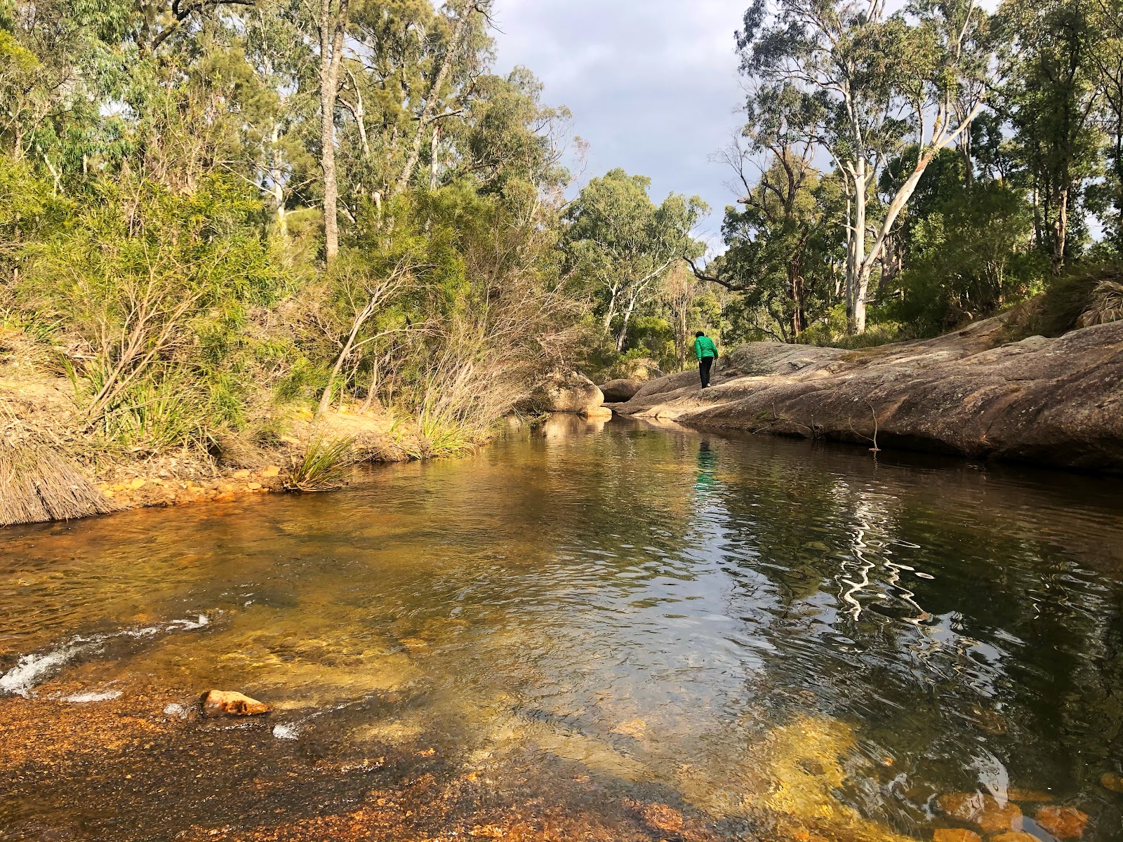 Old Ford Reserve 2