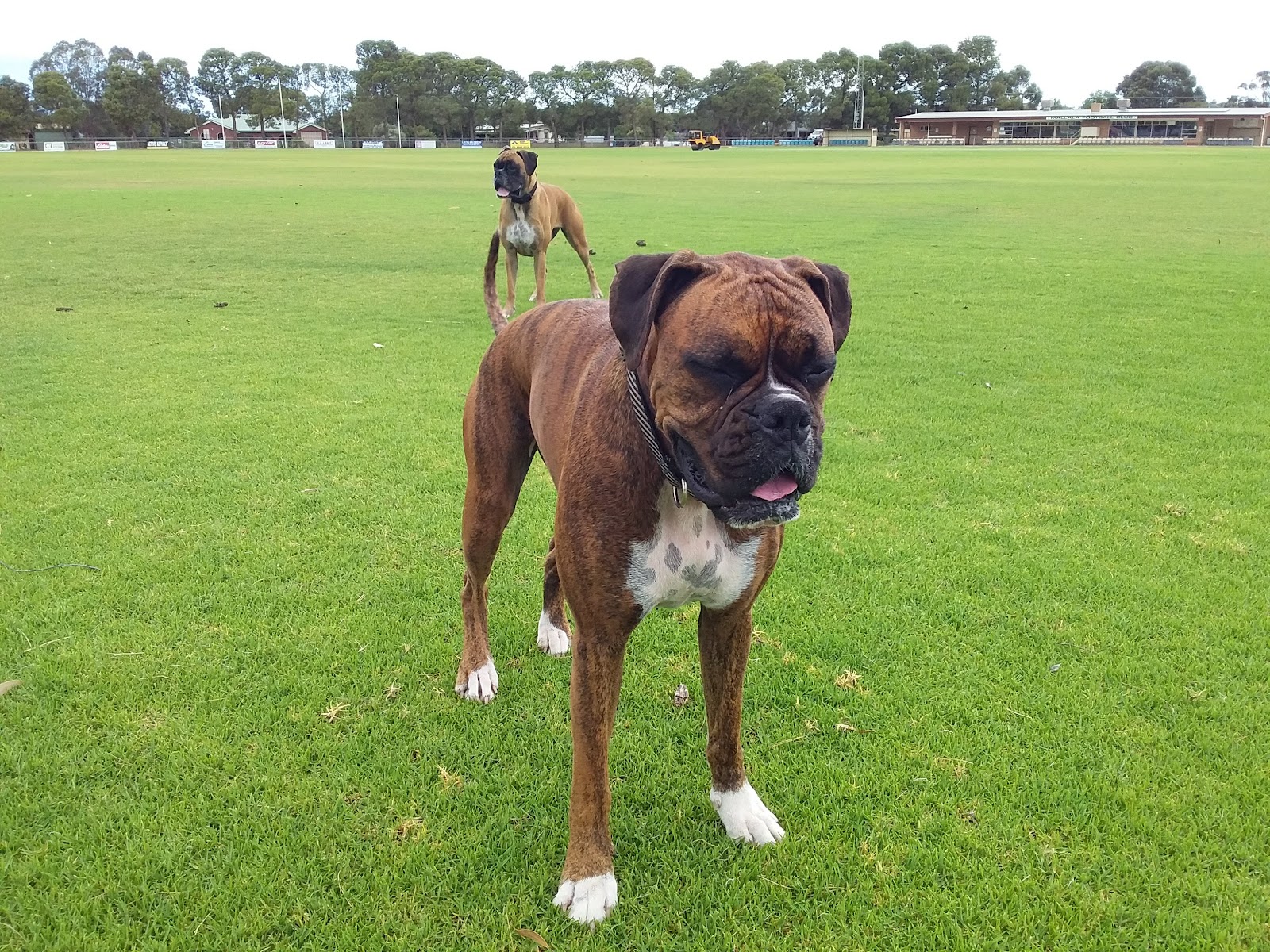 Mallala Football Club 2