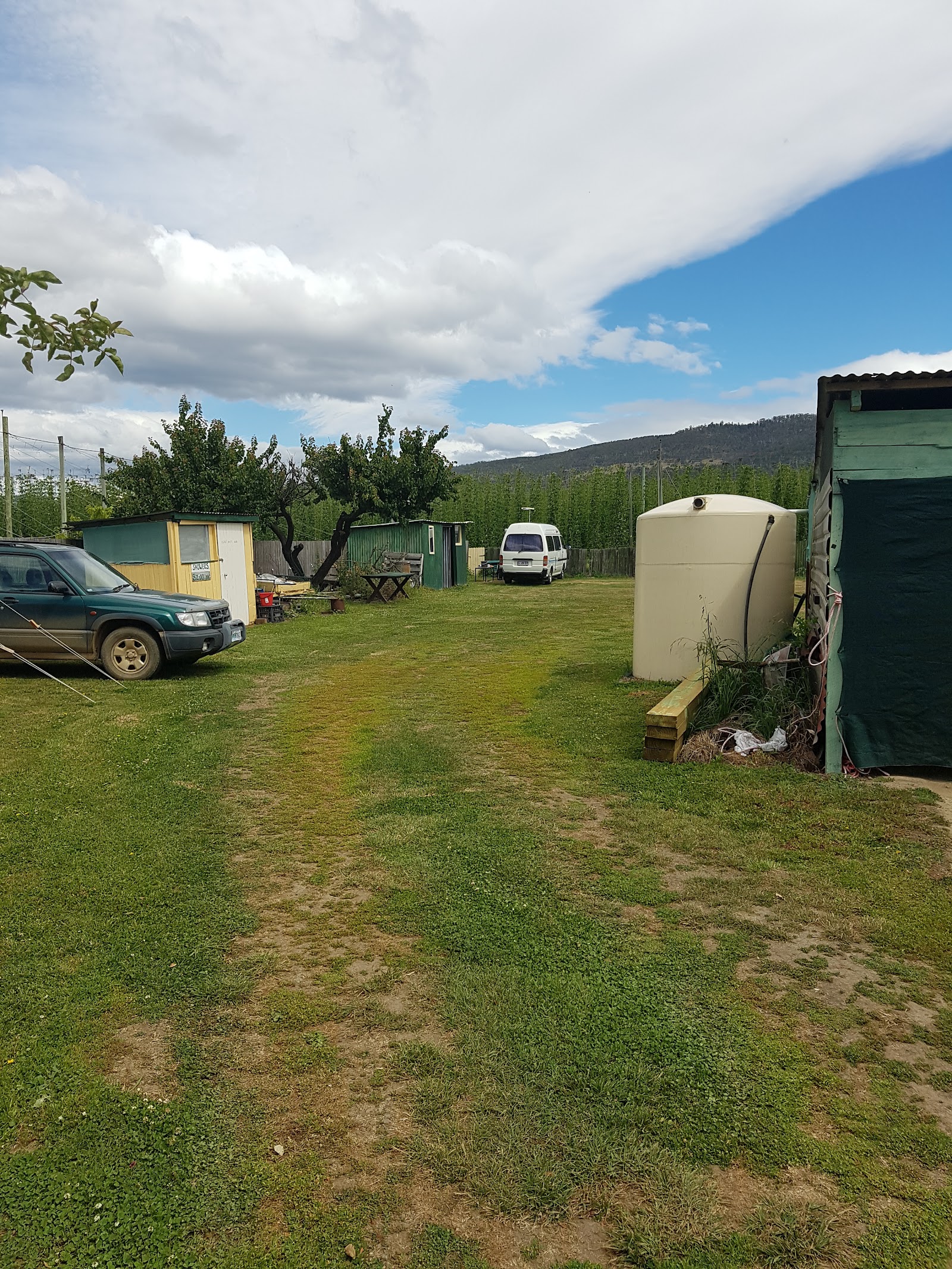bushy park camping ground 2