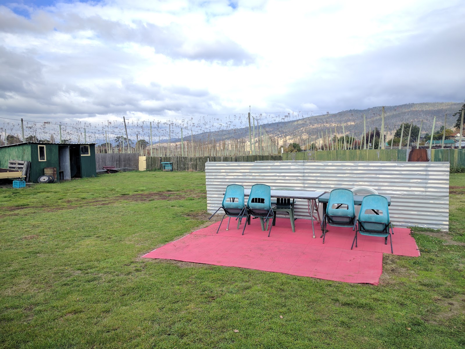 bushy park camping ground 3