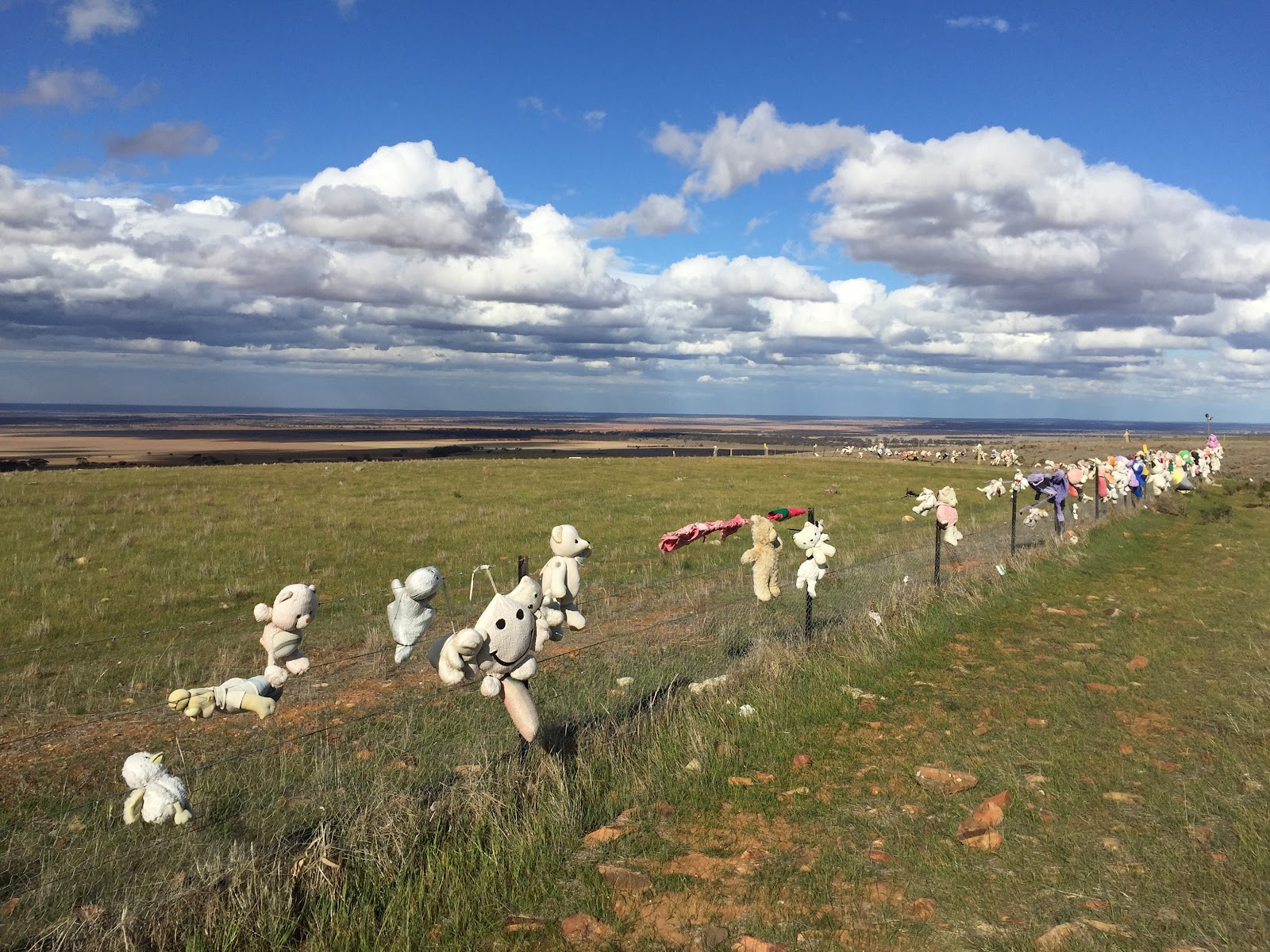 Bear Fence Lookout 2