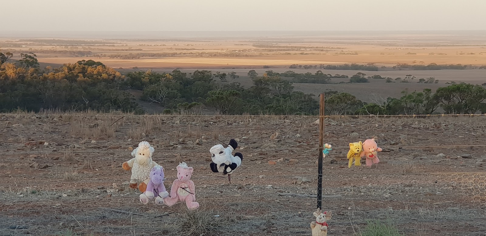 Bear Fence Lookout 3