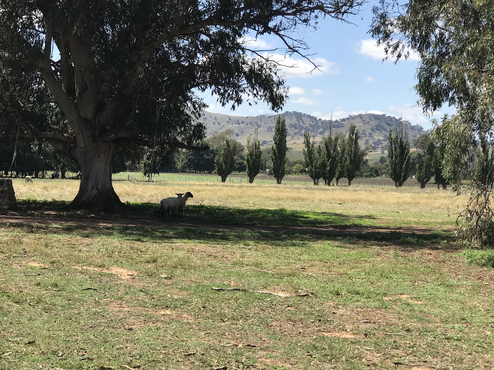 Muttama Rec Ground 3