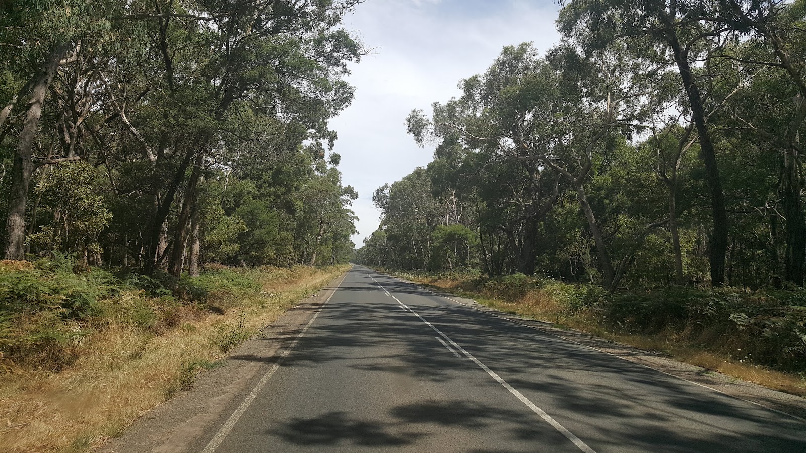 Hotspur Bushland Reserve 2