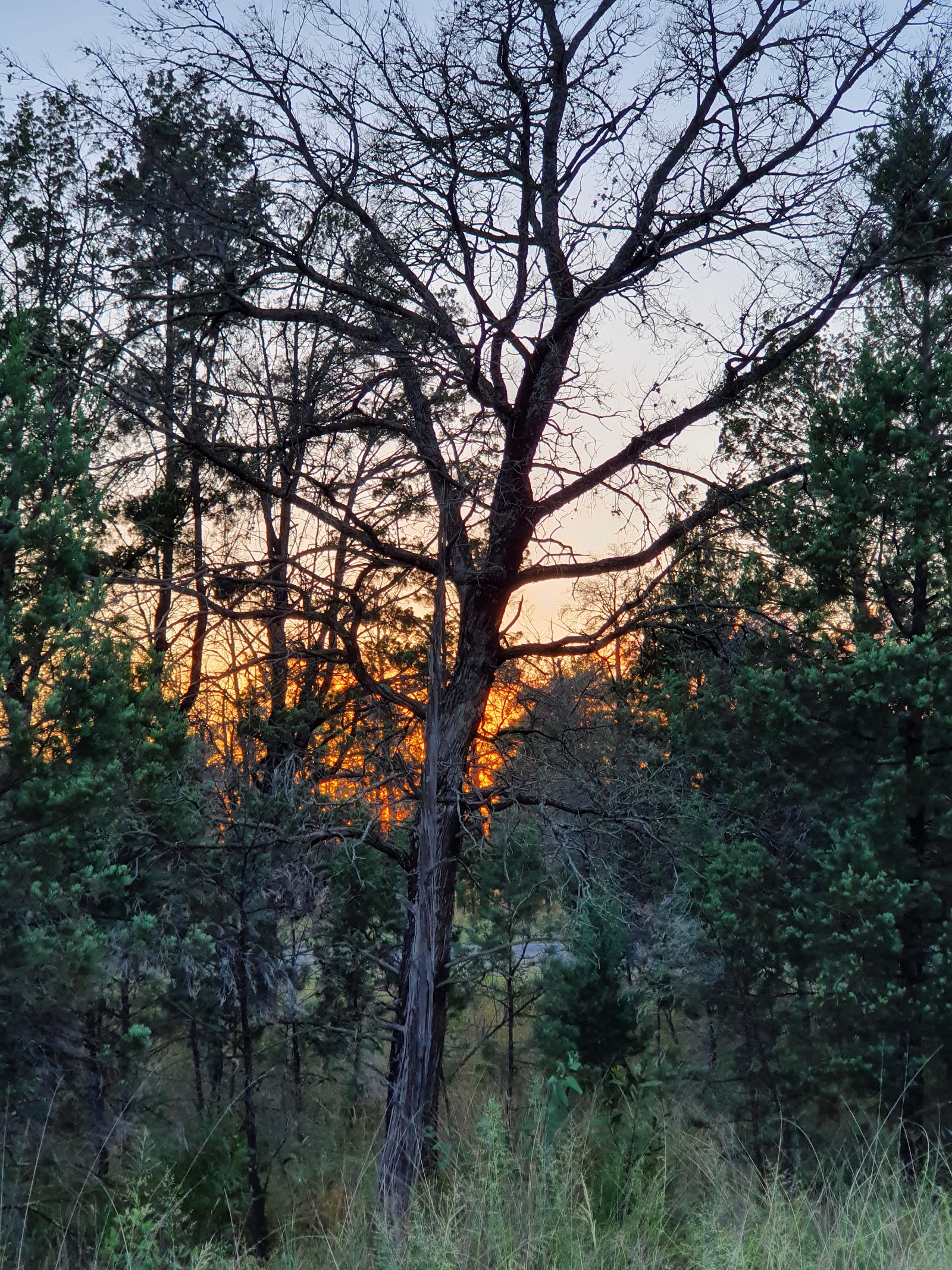 Bohena Creek Rest Area 3