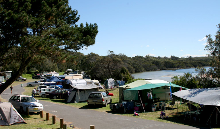 Congo Point Campground - Eurobodalla NP 5
