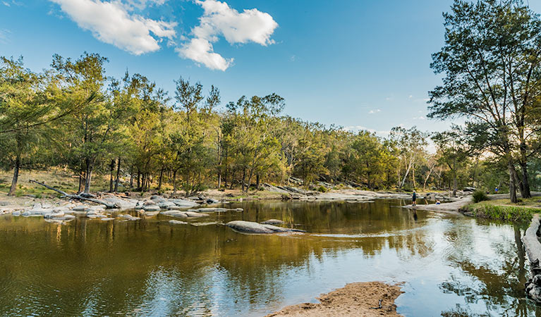 Warrabah campground and picnic area 2