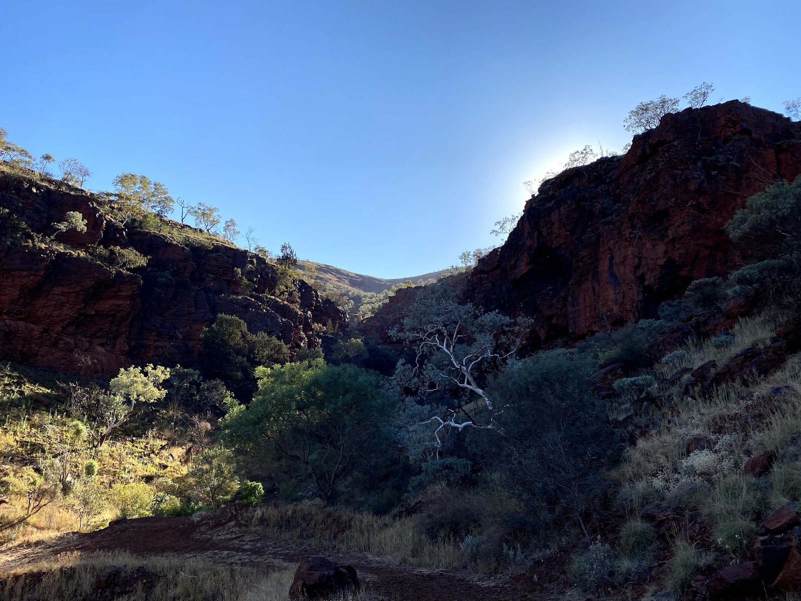 Mount Robinson Rest Area 2