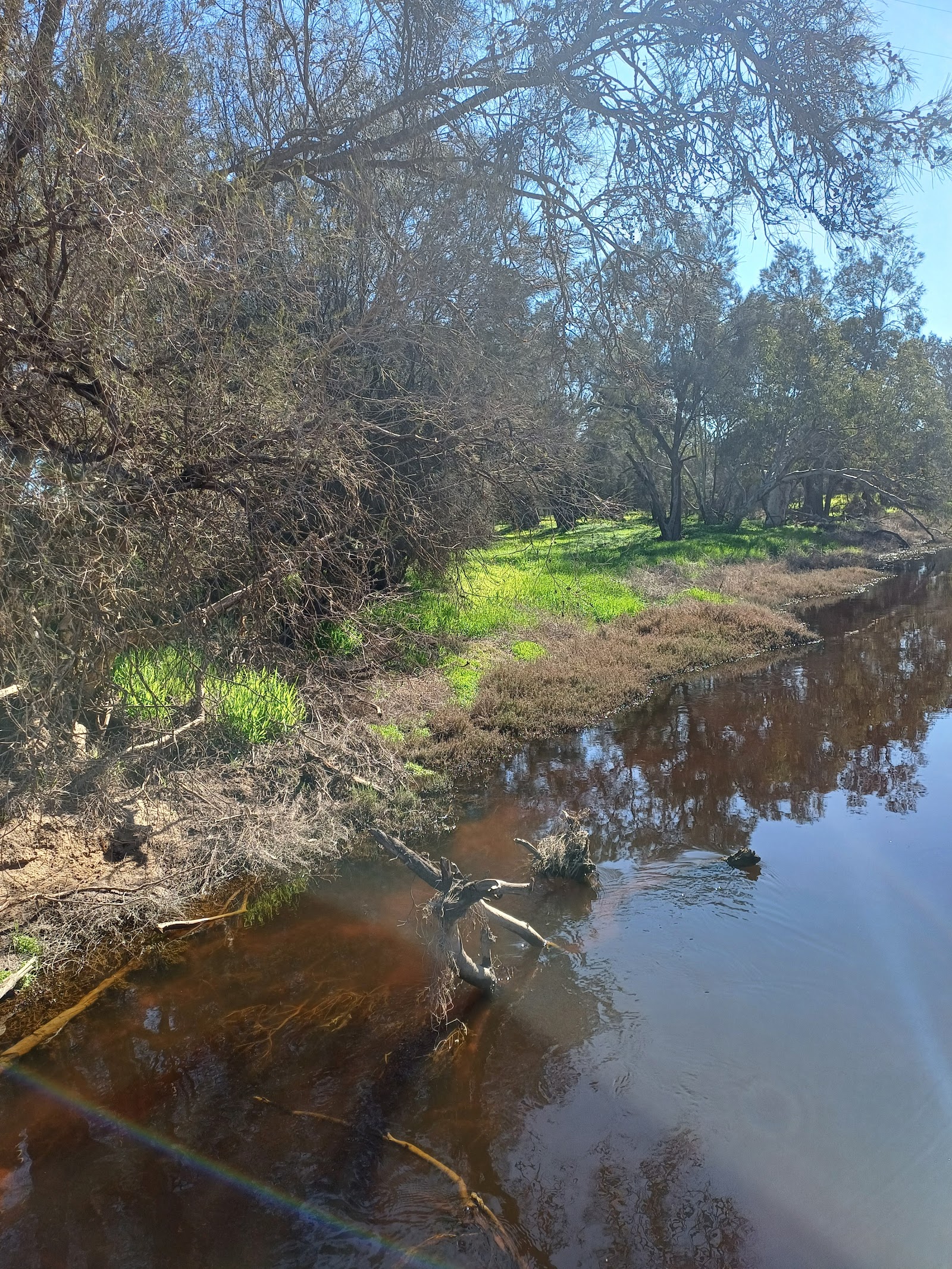 Mortlock River 3