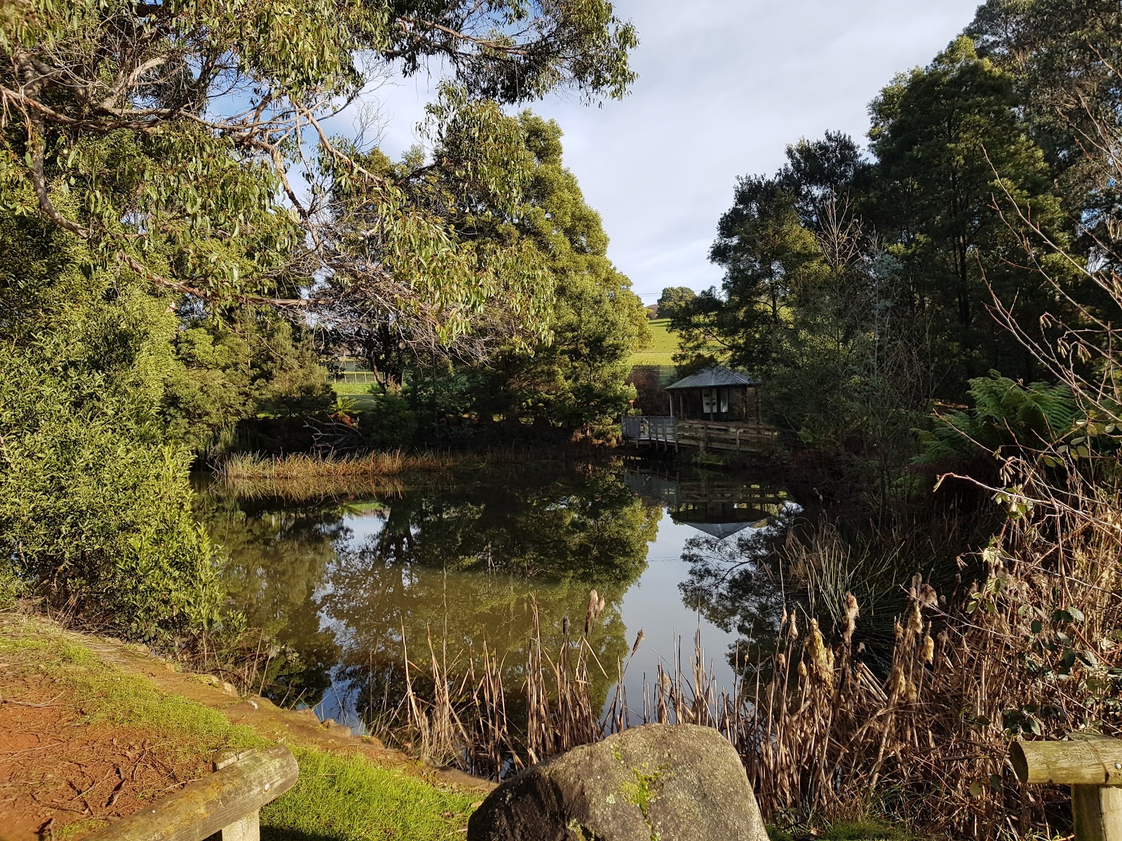 Northeast Park 9