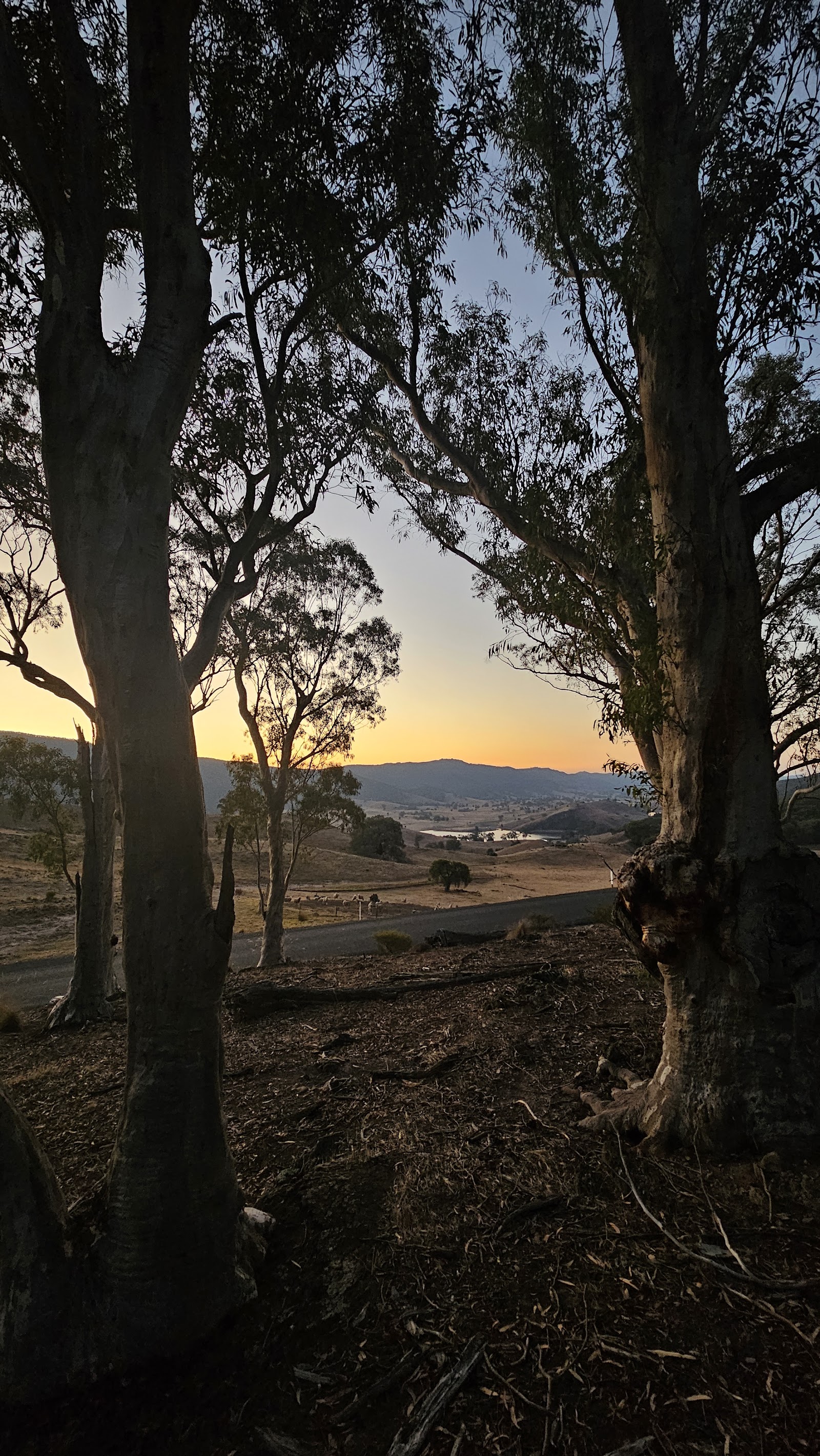 Wee Jasper Nature Reserve 2
