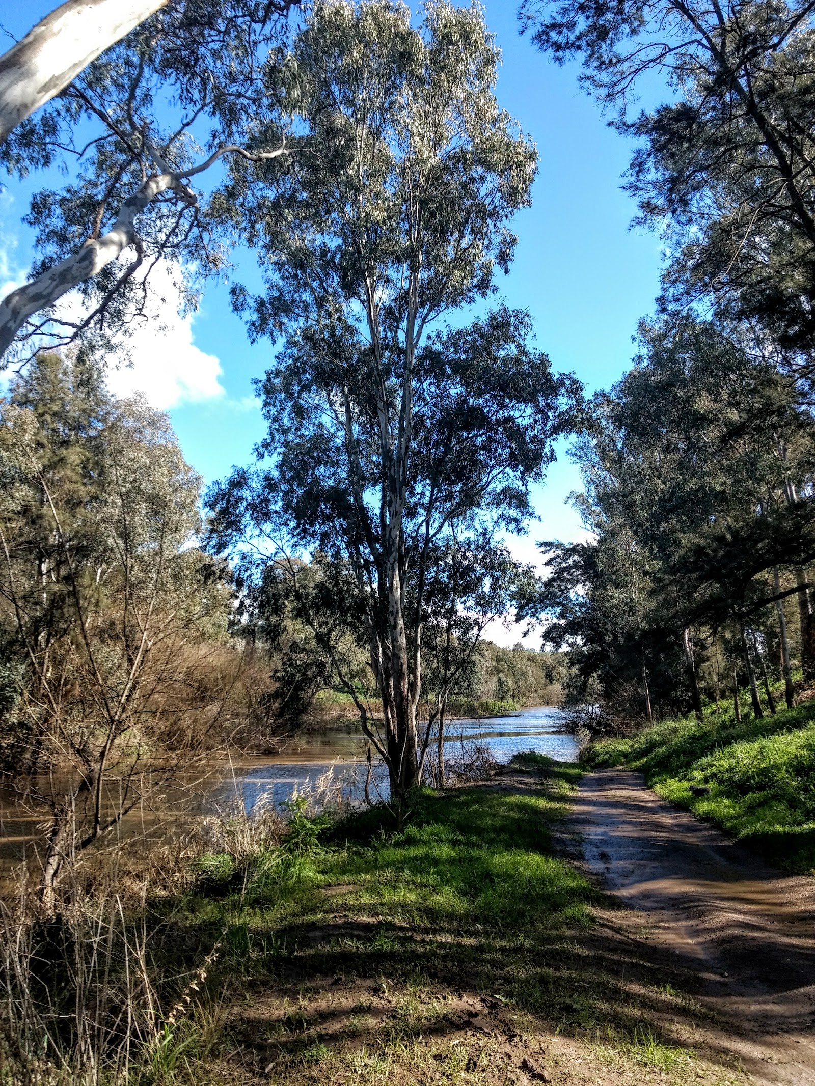 Darbys Falls River Reserve 2