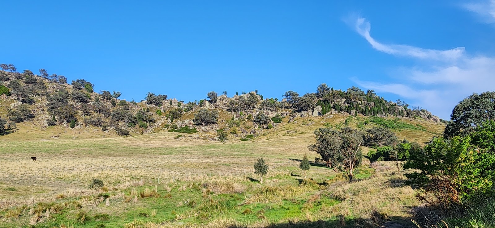 Darbys Falls River Reserve 6