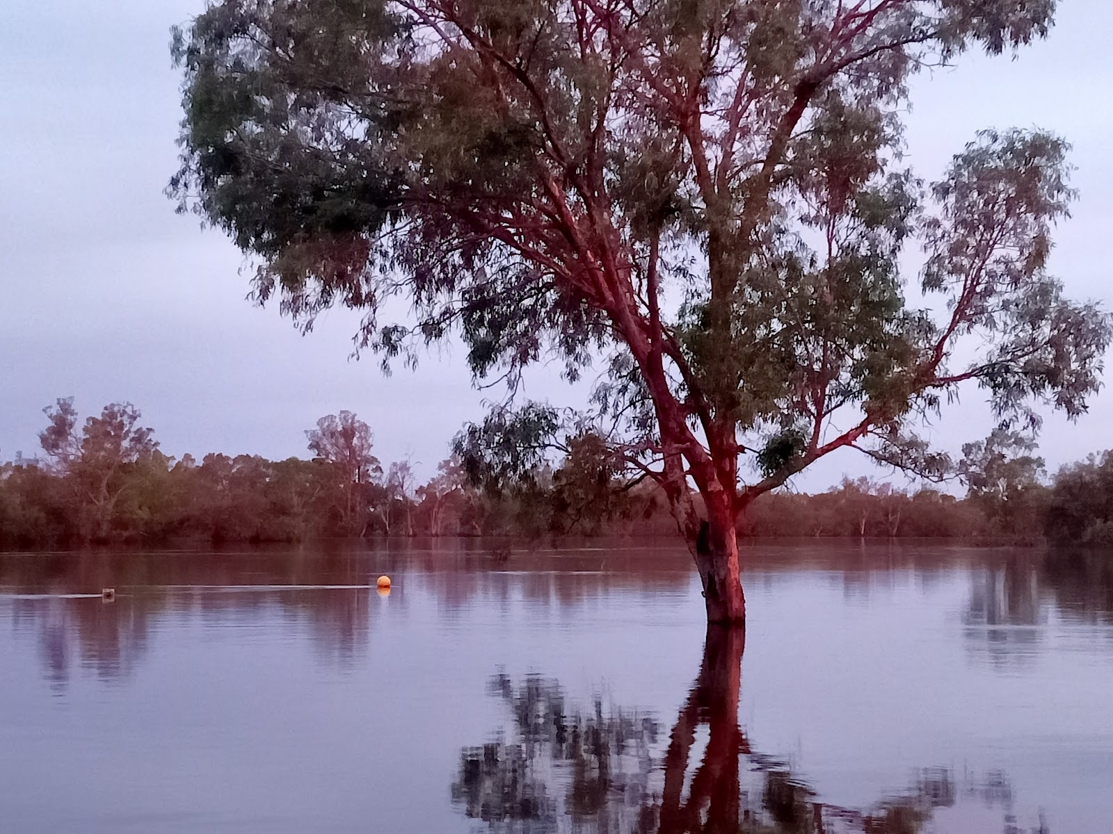 Moorook, Camping, caravan and Rv 3