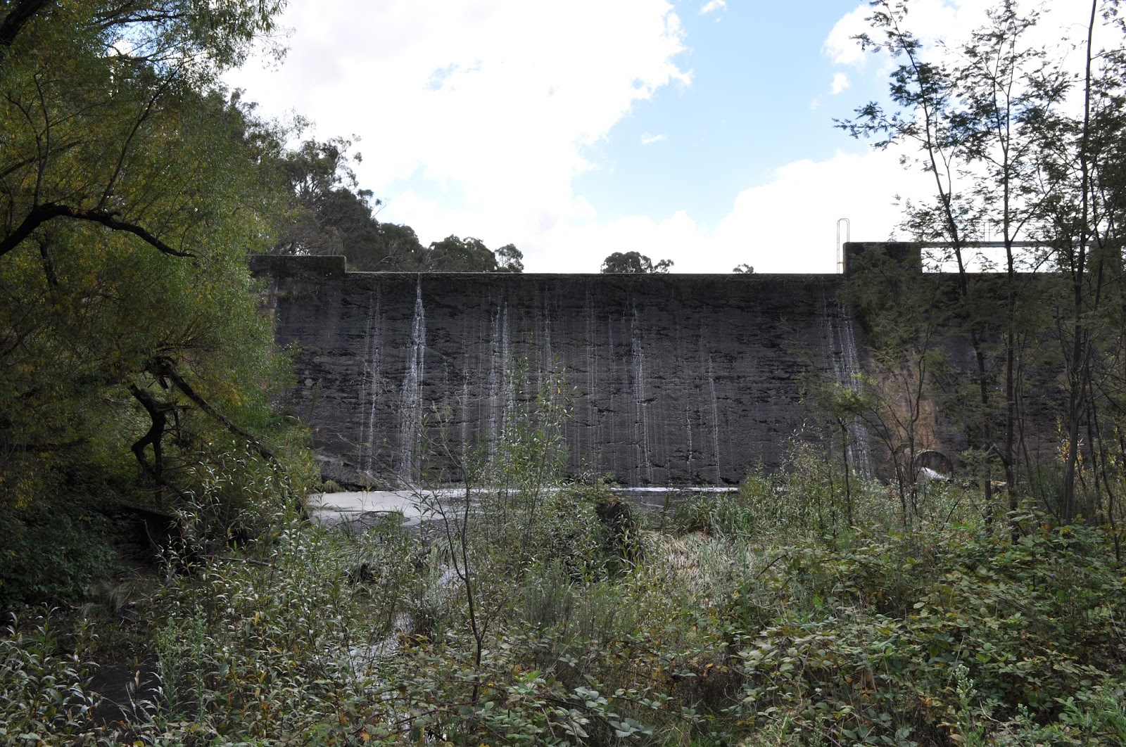 Burraga Dam 2
