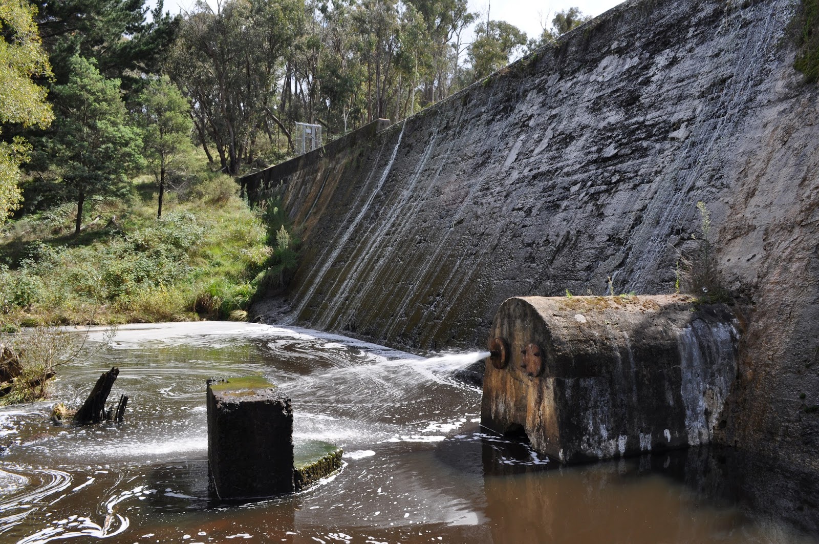 Burraga Dam 3