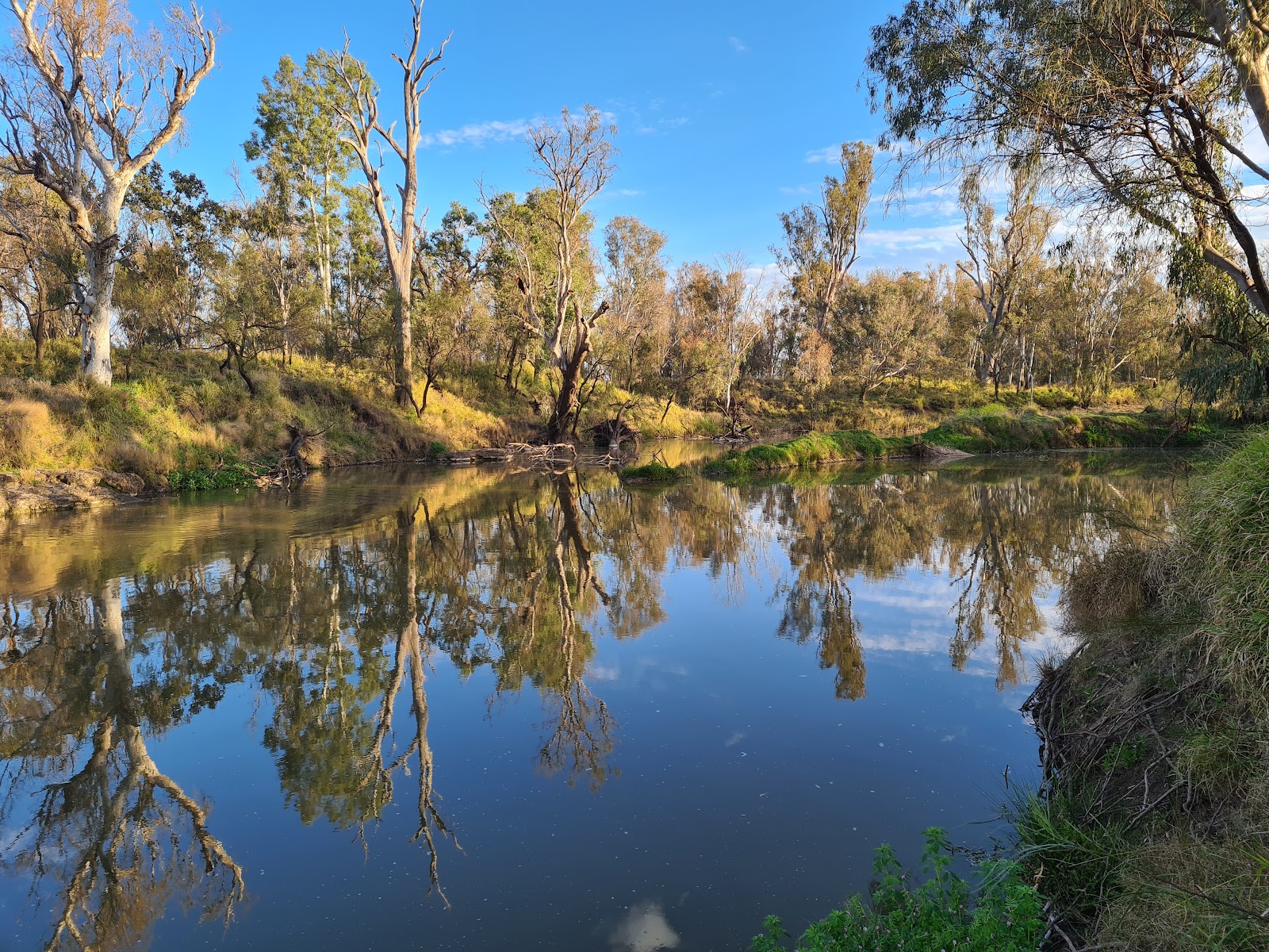 Cecil Plains Apex Park 2