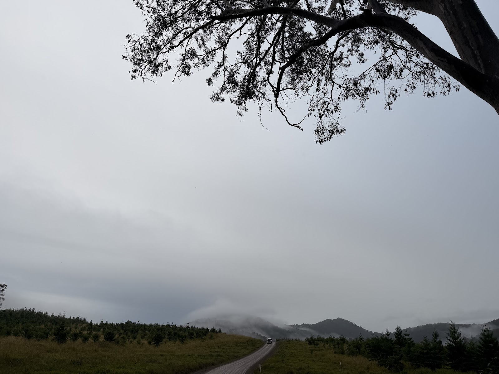 Amamoor Creek camping area 2