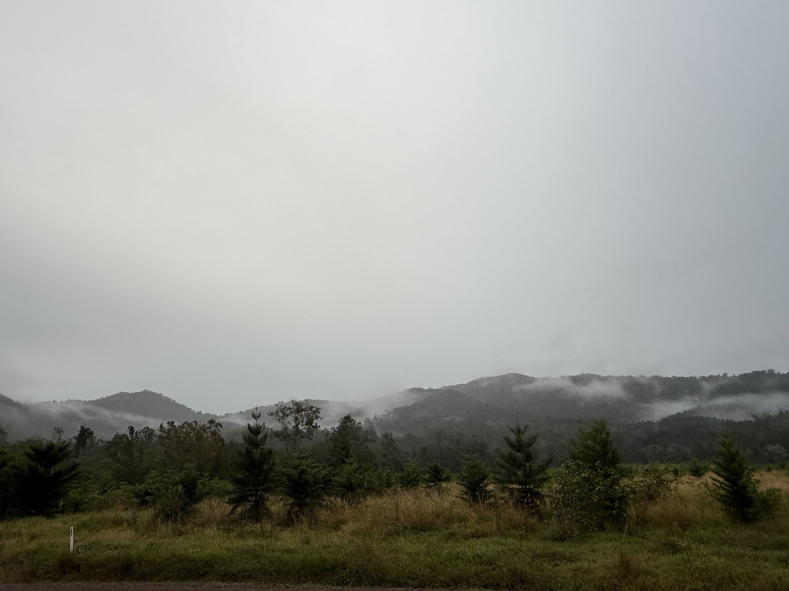 Amamoor Creek camping area 5