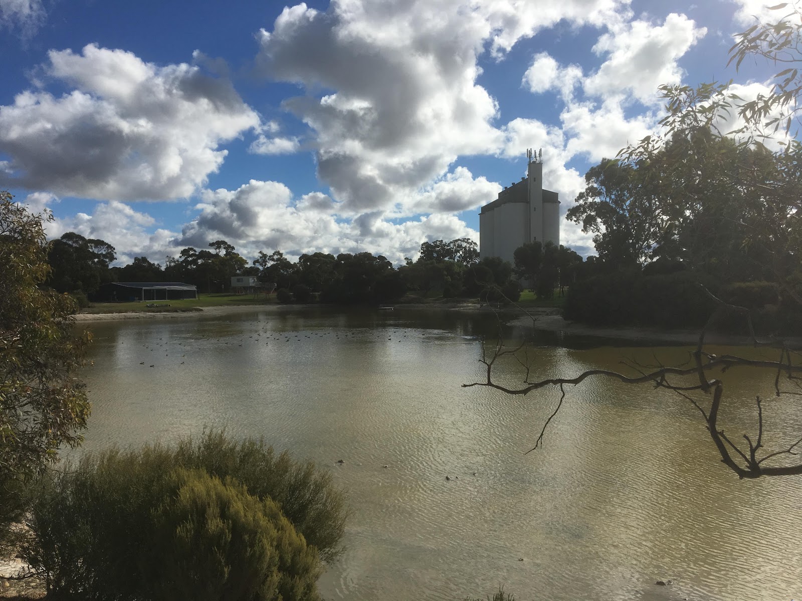 Lake Indawarra 3