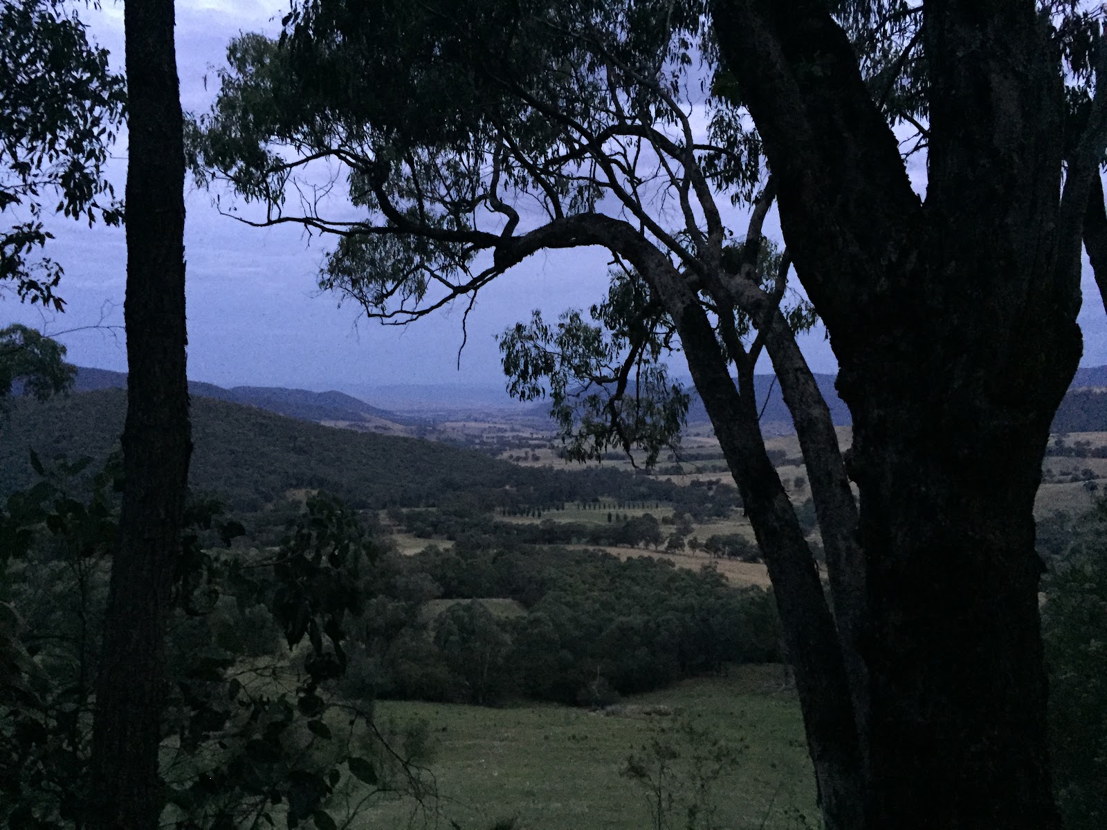 Blue Gum Campground 2