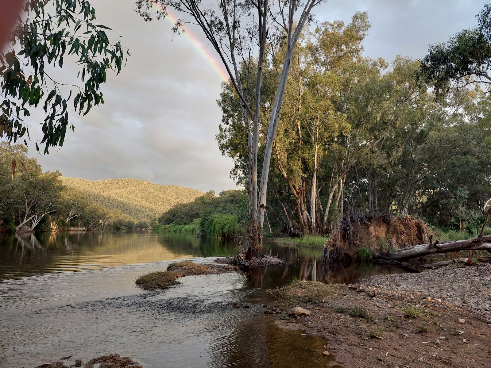 Gwydir River Free Camping Area 2