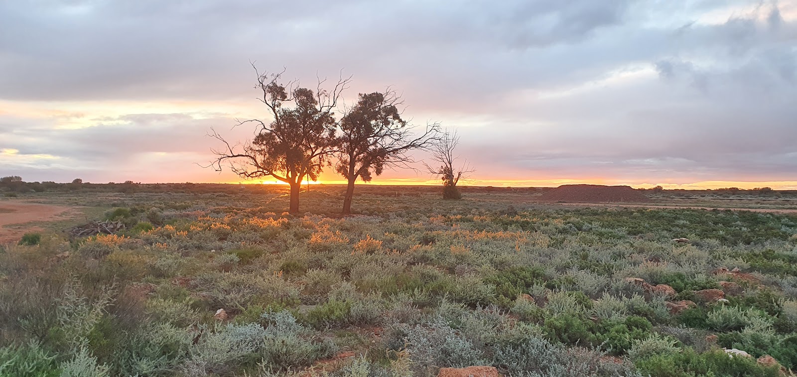 Kingoonya Campground 2